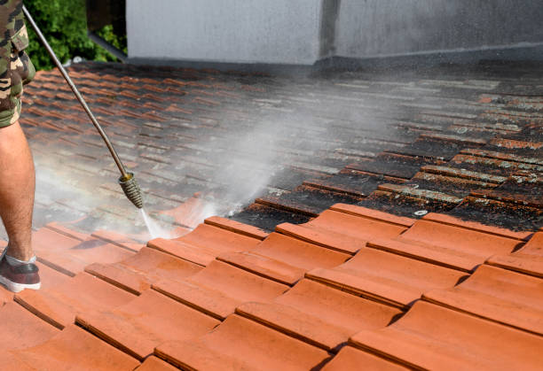 Best Best Pressure Washing Companies  in St Charles, MI