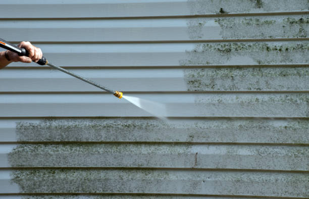 Best Affordable Power Washing  in St Charles, MI