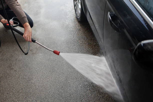 Best Roof Pressure Washing  in St Charles, MI